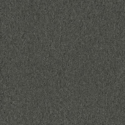 Uplink 20 Broadloom in Shadow Carpet