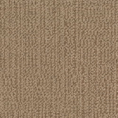 Occasion in Banquet Carpet