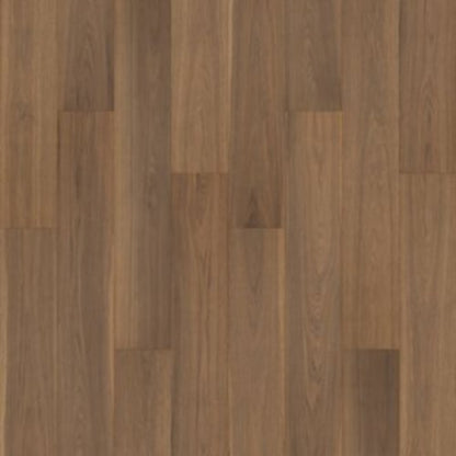 Kallan Point in Bark Hickory