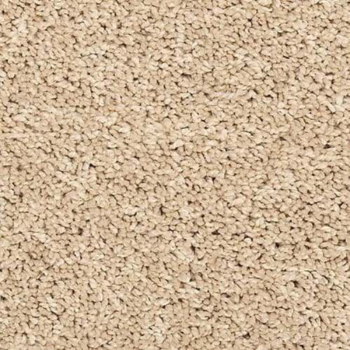Vitalize I in Sugar Cookie Carpet