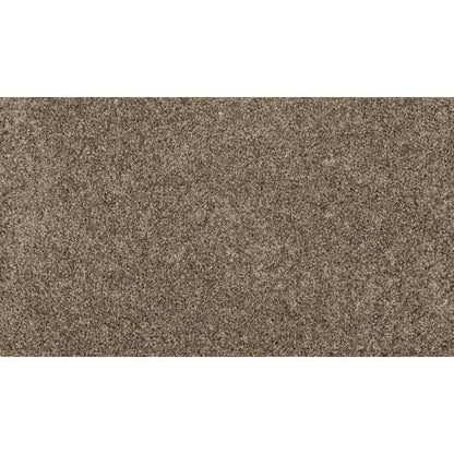 Purrsonality Ii in Legend Carpet