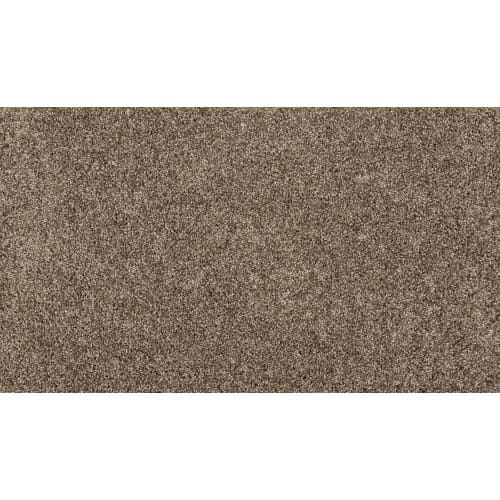 Purrsonality Ii in Legend Carpet