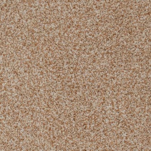Apricity in Sunlit Amber Carpet