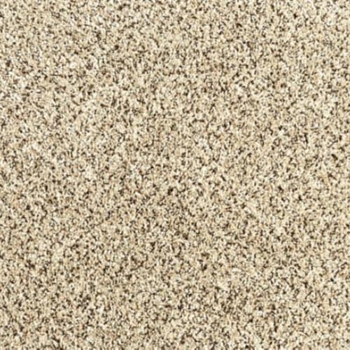 Assorted Elements I in Cross Country Carpet