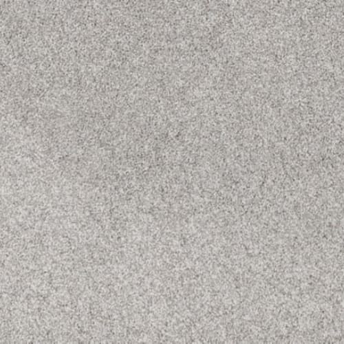 Canine Comfort in Mercury Carpet