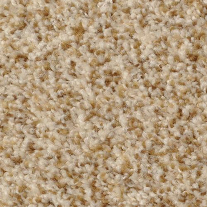BOMBAY in Oatmeal Carpet