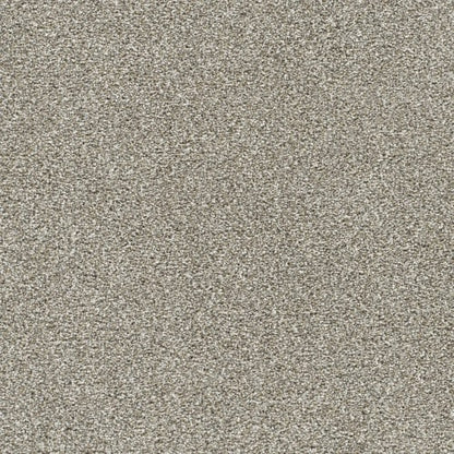 Lucky Penny I in Flaxen Carpet
