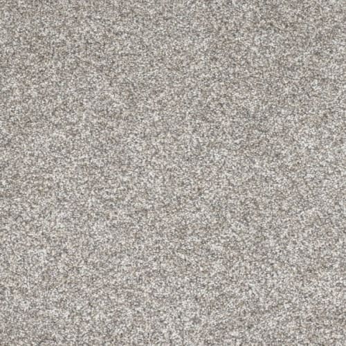 Gold Standard III in Glitter Carpet