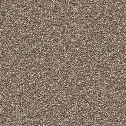 STUNNING in Peppercorn Carpet