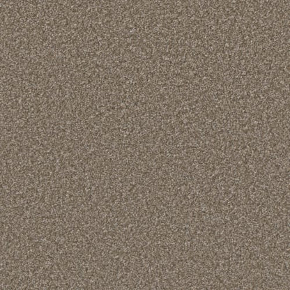 Excalibur II in Terestial Carpet
