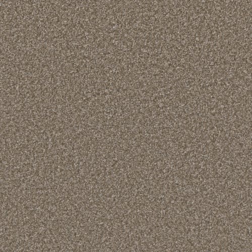 Excalibur II in Terestial Carpet