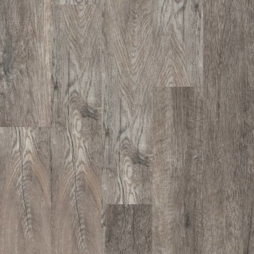 PARAMOUNT 512C PLUS in Smoky Oak