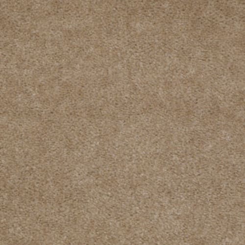 Cascade II in Tree Trunk Carpet