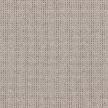 FAINT INTENT in Baltic Stone Carpet