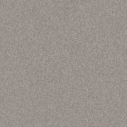 YES YOU CAN II 15' in Rock Crystal Carpet