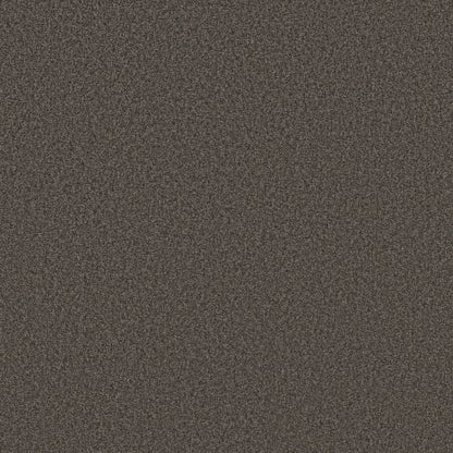 TONAL COMFORT I in Weekend Getaway Carpet