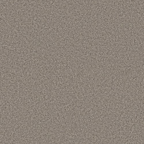 RENEWED ENERGY II in Prairie Run Carpet