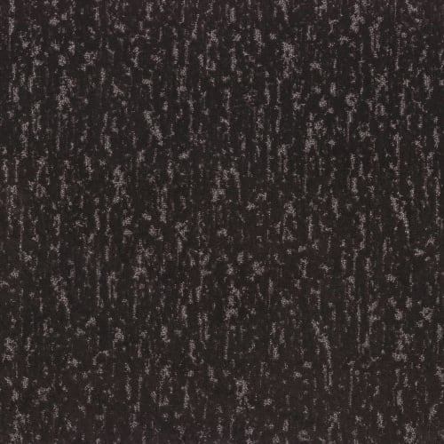 CALM EXPRESSION in Bison Carpet