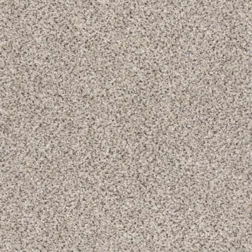 TAKE THE FLOOR ACCENT II