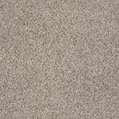 TAKE THE FLOOR ACCENT II