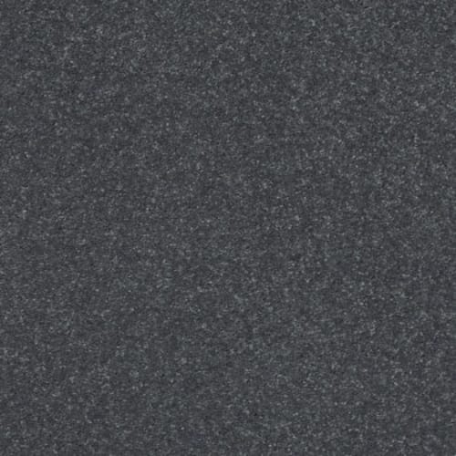 SOLIDIFY I 15' in Iron Carpet