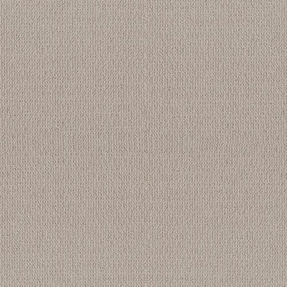 ICONIC WAY in Birch Carpet