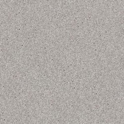 SWEET INSPIRATION I in Frosted Ice Carpet