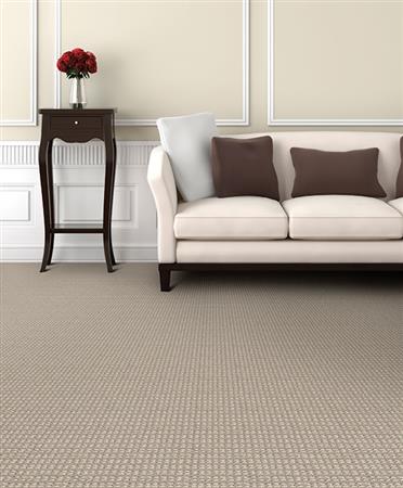 Steadfast in Silverado Carpet