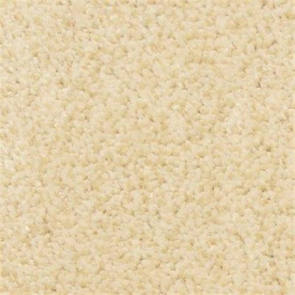 Gusto in Almond Carpet