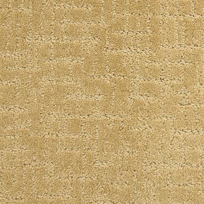 Amazing in Special Carpet