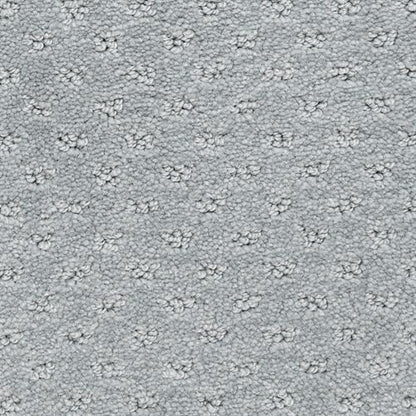 Dreamer in Laurel Carpet