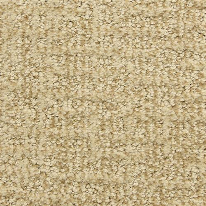 Aspects in Bittersweet Carpet
