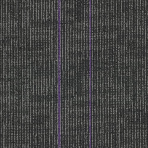 Echo Plank