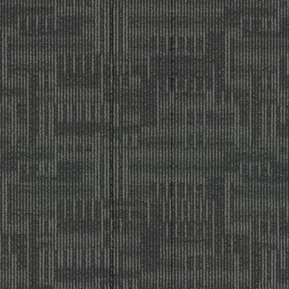 Echo Plank
