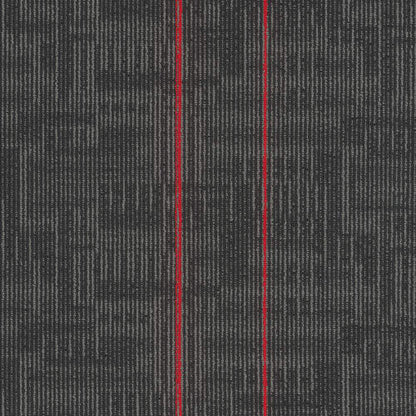 Echo Plank