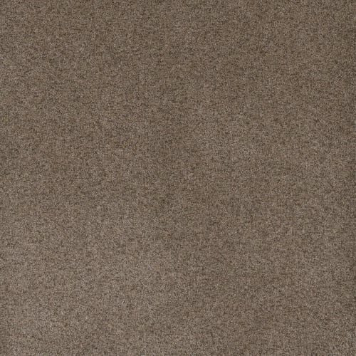 Serene II in Shellbark Carpet