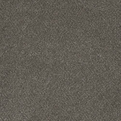 Monte Carlo II in Rugby Carpet