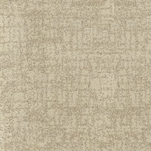 Beverly Hills in Sunset Carpet