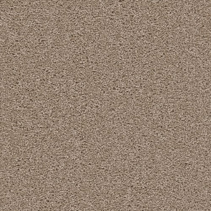 All Star in Cashew Carpet
