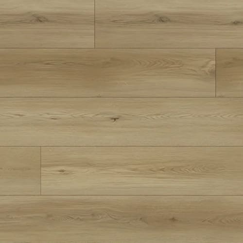 North Forest Collection in Cream Valencia