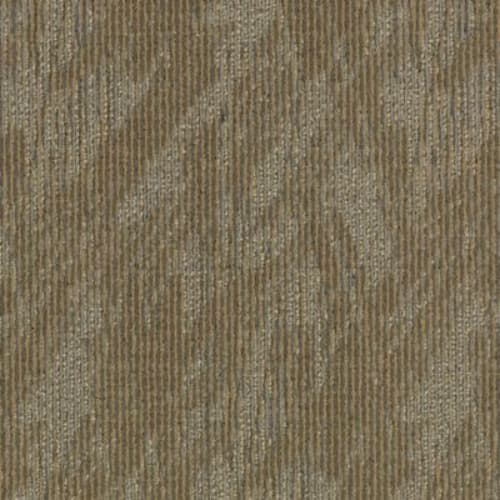 Total Visual in Completely Intuitive Carpet