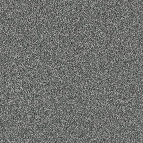 Opulent II in Steel Grey Carpet