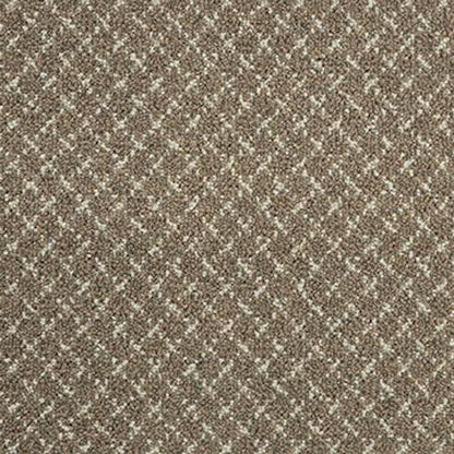 Expressions Metro 2 in Mtr2 Oat Carpet