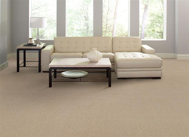 Gallantry Too in Alpaca Carpet