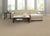 Gallantry Too in Alpaca Carpet