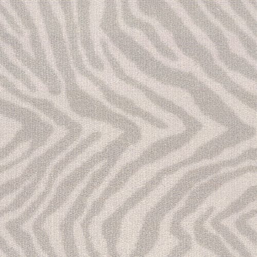 Zebra in Grévy's Zebra Carpet