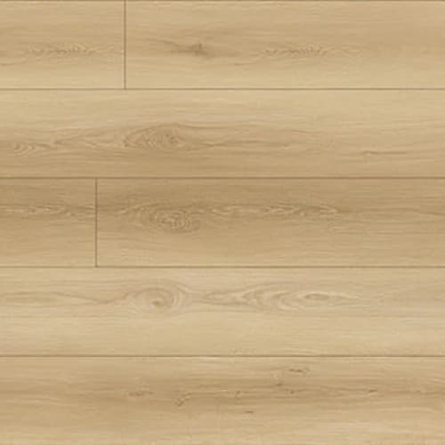 North Forest Collection in Cascade Coral