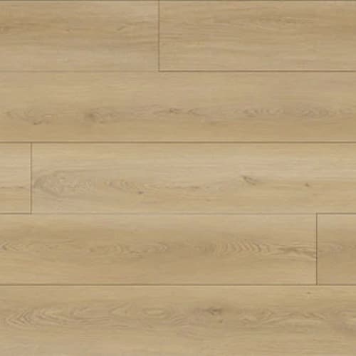 North Forest Collection in Sand River