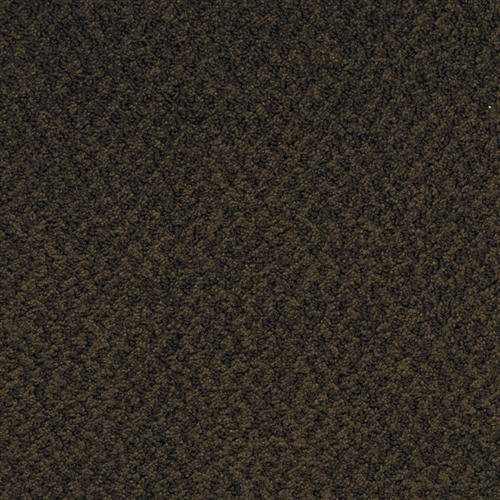 New Hope in Mink Brown Carpet