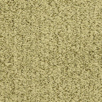 Sea Grass
